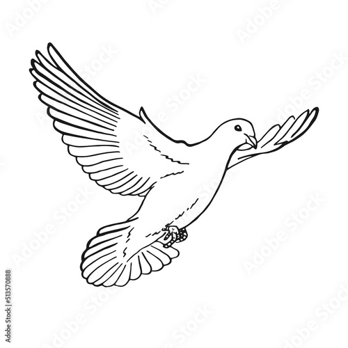 Hand drawn dove outline. Line art style isolated on white background.