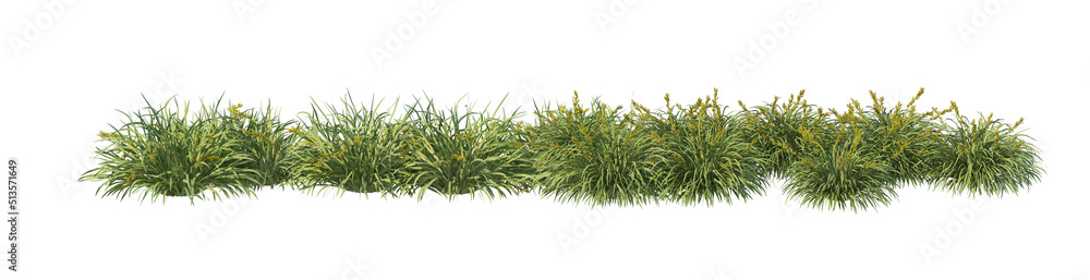 Fototapeta premium 3D render flowers and shrubs with white background