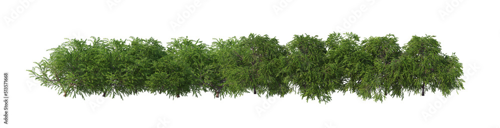 Obraz premium 3D render flowers and shrubs with white background