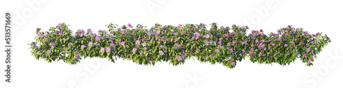 3D render flowers and shrubs with white background