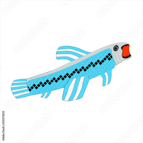 Peces de rio Pez aimara nombre cientifico Hoplerythrinus unitalniatus o Hoplias aimara