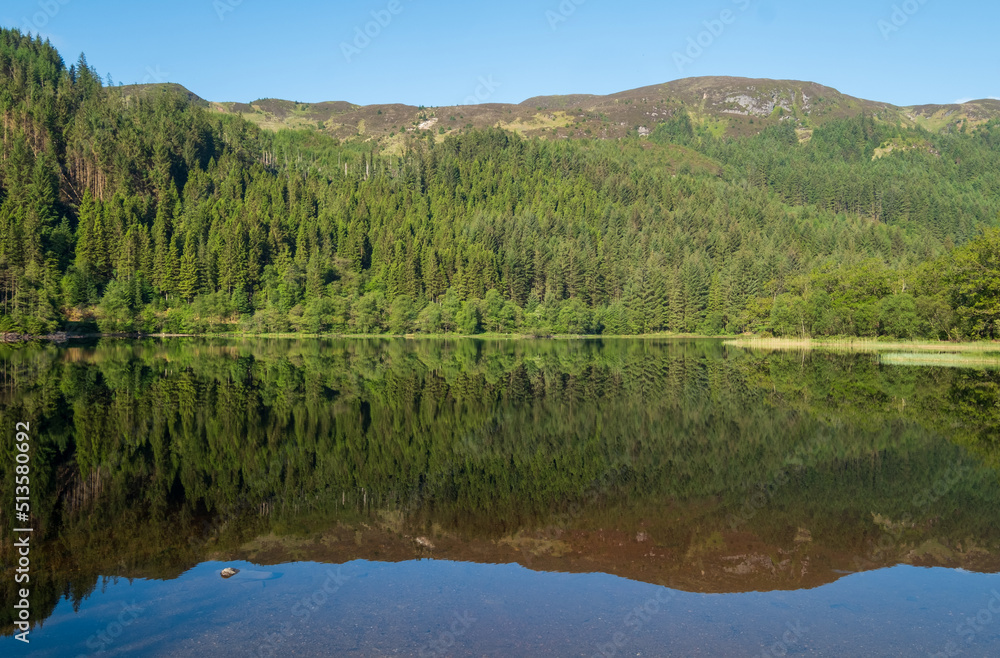 Loch view, Highlands of Scotland, UK. The trees overlooking the loch are reflected in the water. 