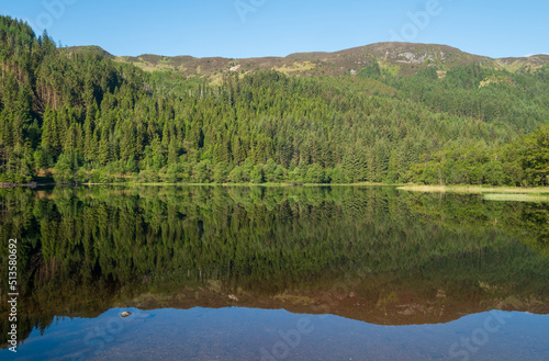 Loch view  Highlands of Scotland  UK. The trees overlooking the loch are reflected in the water. 