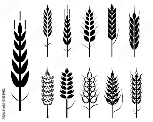 wheat grain seed icon. icons set organic wheat. 

wheat and rye ears oats barley rice spikes and 

grains. 
