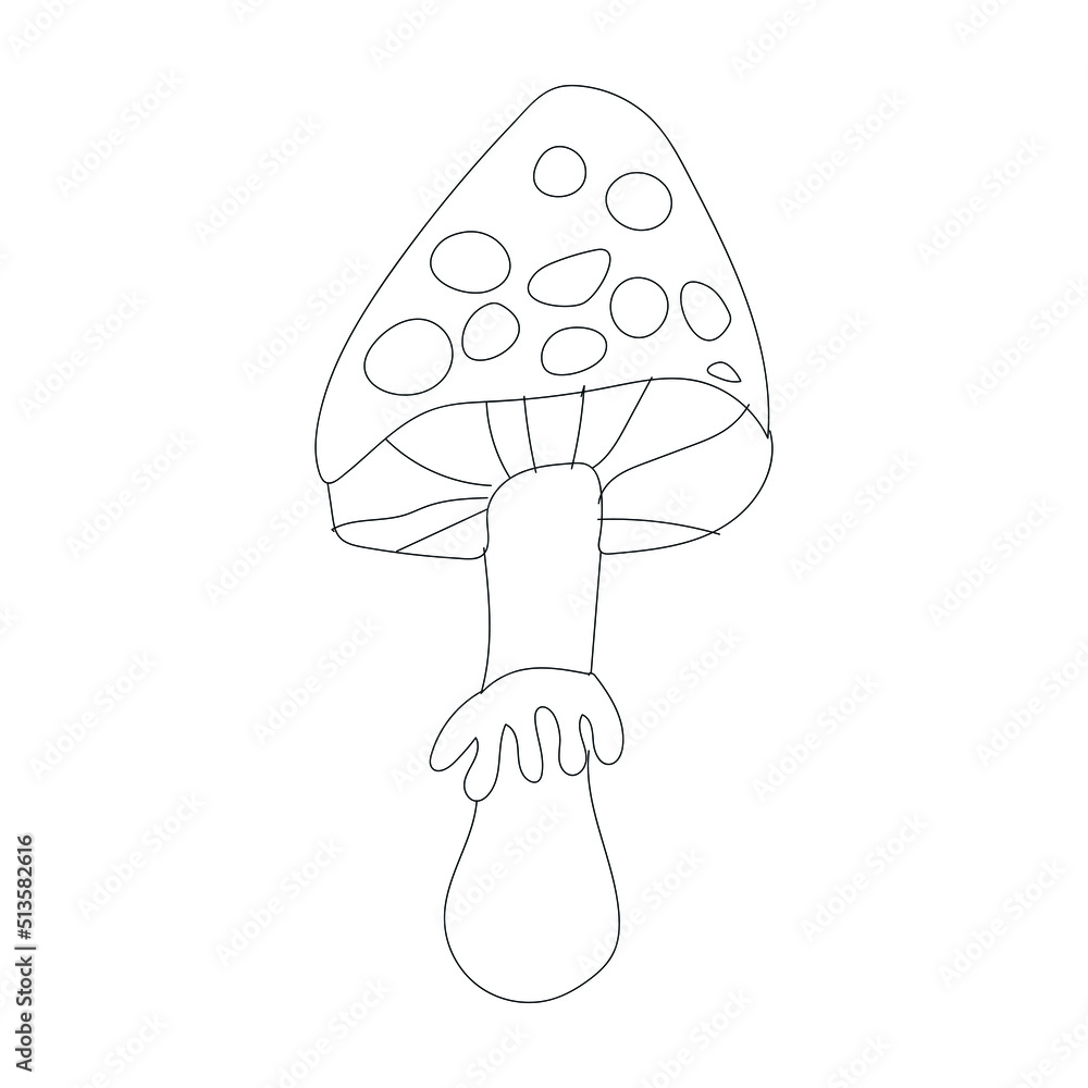A Beautiful mushroom are too short