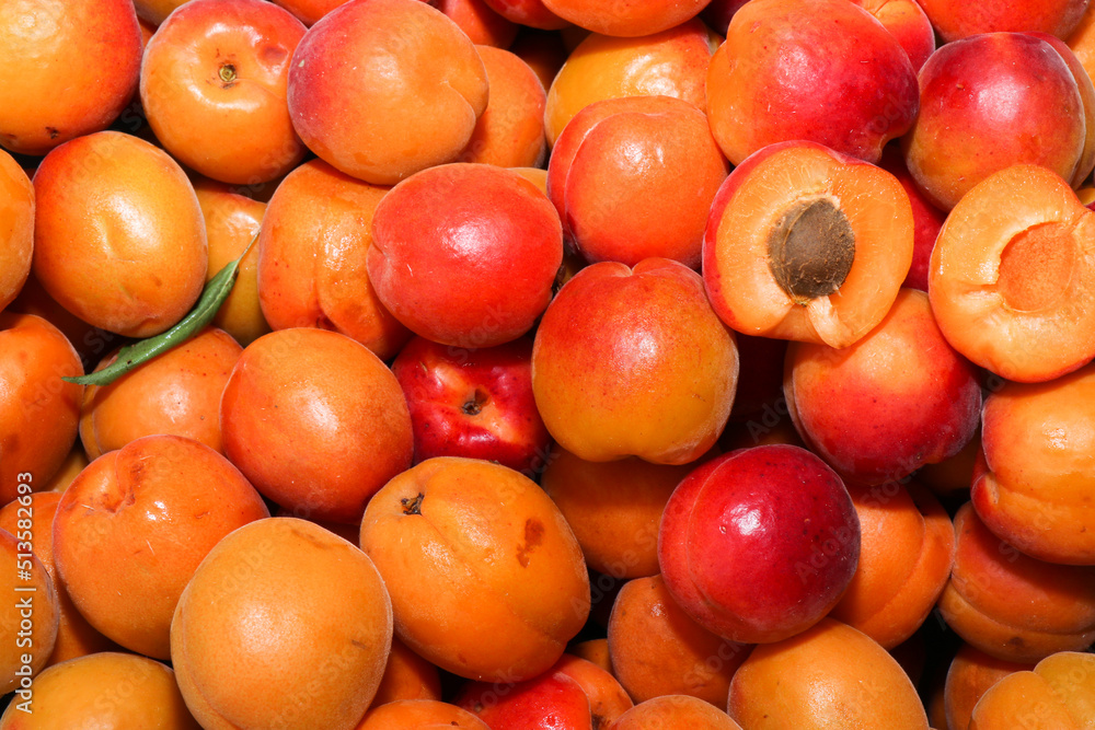 Lots of apricots. Fruit with a stone divided into 2 parts on the background of juicy apricots