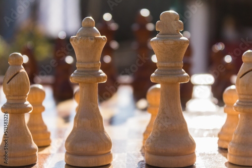 Chess pieces before the start of the game.