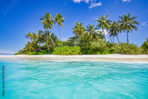 Best tropical beach landscape. Fantastic summer coast  vacation destination  palm trees  white sand  sunny sky. Freedom travel  amazing sea lagoon  paradise shore nature landscape. Beautiful beach