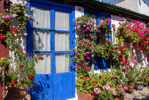 Blue door and windows in a patio with flowers in spring, Cordoba, Spain © Manoli Pérez