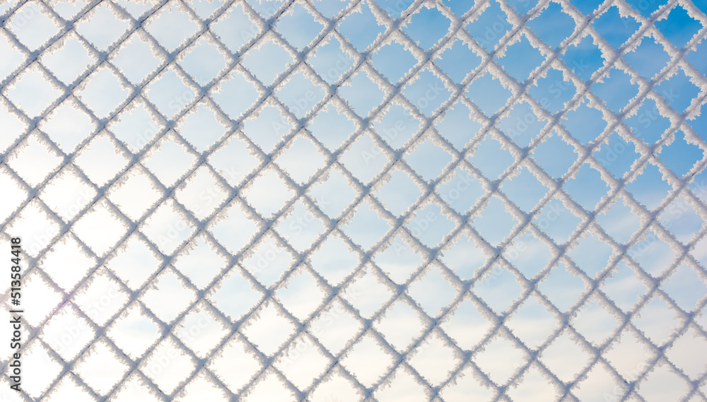 Fototapeta premium Winter background, frosty weather. The metal mesh is covered with frost. Under the bright sun against the blue sky.