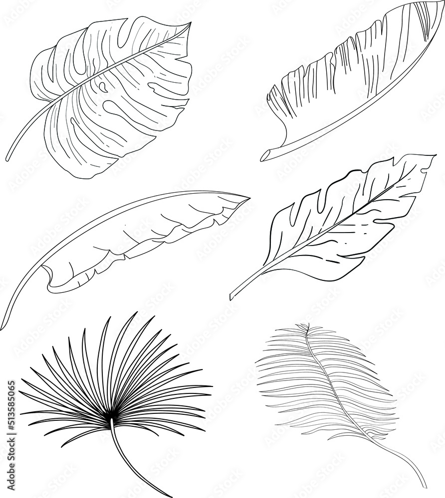 Hand drawing Summer tropical plants collection.
Big leaves vector design. Summer vibe illustration.
Rainforest trees. Hand drawing Summer tropical plants collection.
Big leaves vector design. Summer vibe illustration.
Rainforest trees.