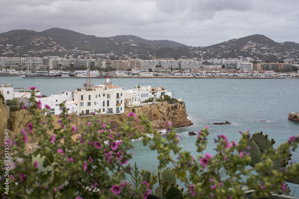 Ibiza, widok na port i część miasta. - obrazy, fototapety, plakaty 