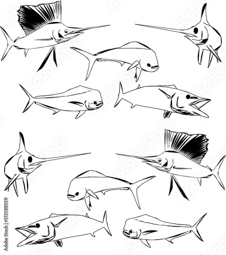 Pattern Of Modern Outline Pelagic Fishes 