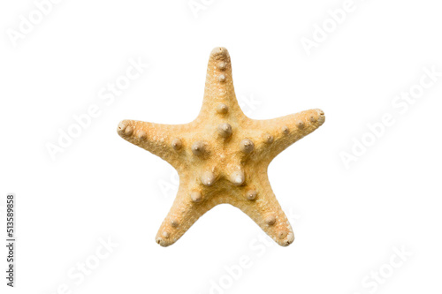 Natural yellow starfish isolated on white background top view
