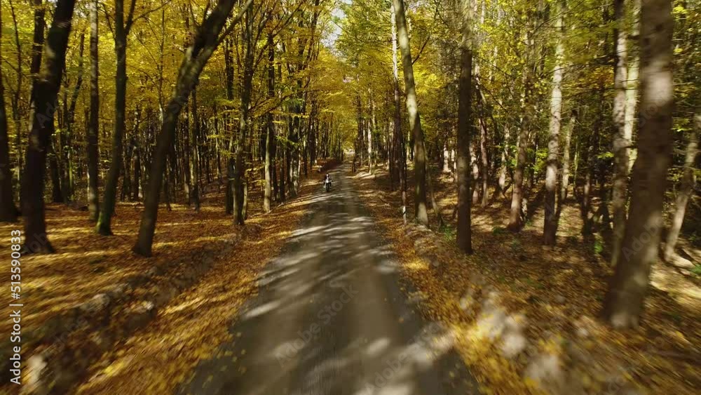 A motorcycle with a rider without a helmet rides on the asphalt road on a sunny day in the autumn yellow forest. Aerial view. A motorcycle with a rider without a helmet rides on the asphalt road on a sunny day in the autumn yellow forest. Aerial view.
