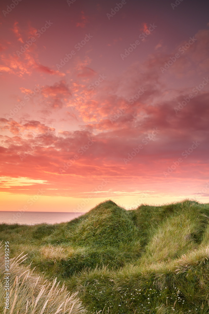 Obraz premium Sunset on the west coast of Jutland - Lokken Beach, Denmark. Beautiful landscape with lush grass waving in the wind during sunset or over a ocean with red, orange, blue, and yellow colors in the sky