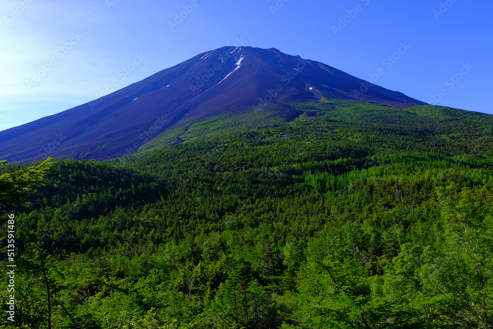 20220627富士山吉田口4合目～5合目奥庭からの朝の富士山