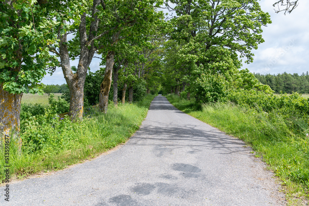 road in the countryside