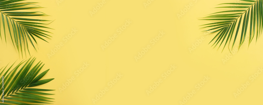 Image of tropical green palm over yellow pastel background