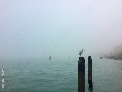 misty morning on the sea in Venice  © Наташа Гобс