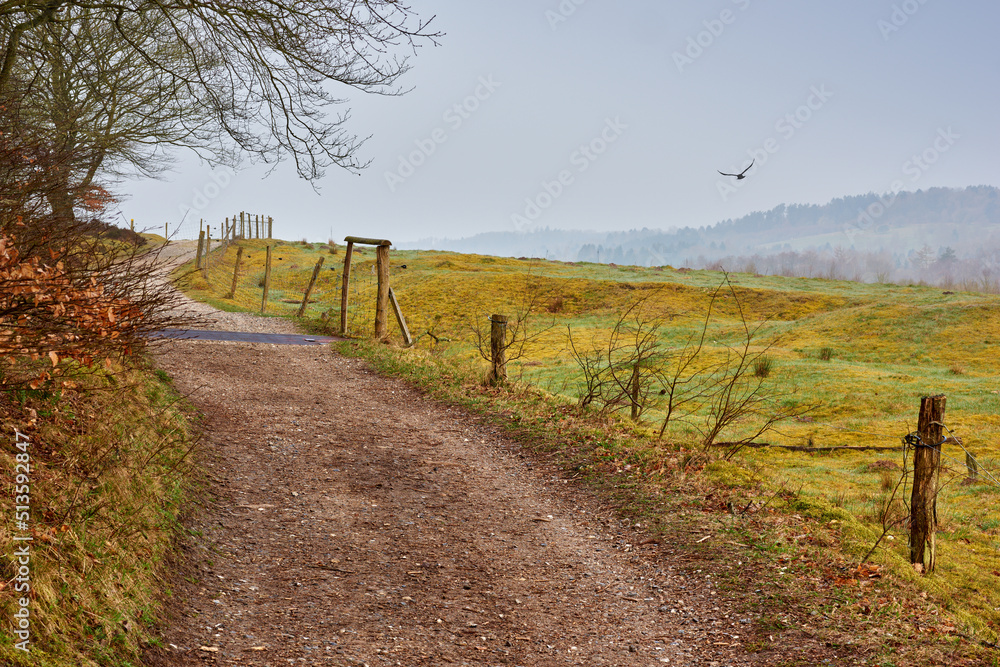 Landscape of a winding dirt road and path in a remote farm land and countryside in Germany. Serene and peaceful country lane leading into the hills of lush green fields. Scenic view of nature at dawn