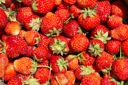 Homemade strawberry. Strawberry. Fresh ripe strawberries close up. Fruit background, organic berries. Top view. Flat lay