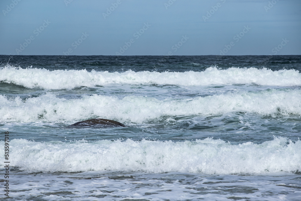 Fototapeta premium waves on the sea