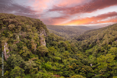 Stunning landscape view in Springbrook National Park  QLD during sunset. 