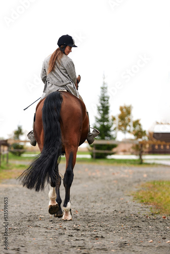 Rear view shot. Portrait of a pretty young woman with a brown horse riding autumn day © Georgii