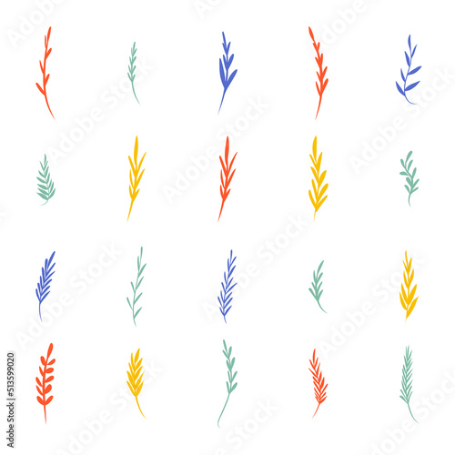 Mix of colored herbs and plants  collection