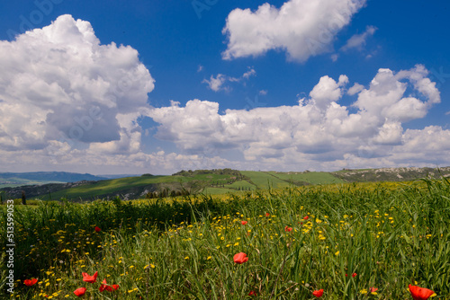 bellissima vista con cipressi in toscana