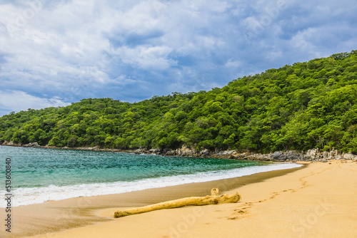 Huatulco bays - Maguey beach. Beautiful beach with pristine waters, with turtles and fishes. Mexican beach with wooden huts by the sea
