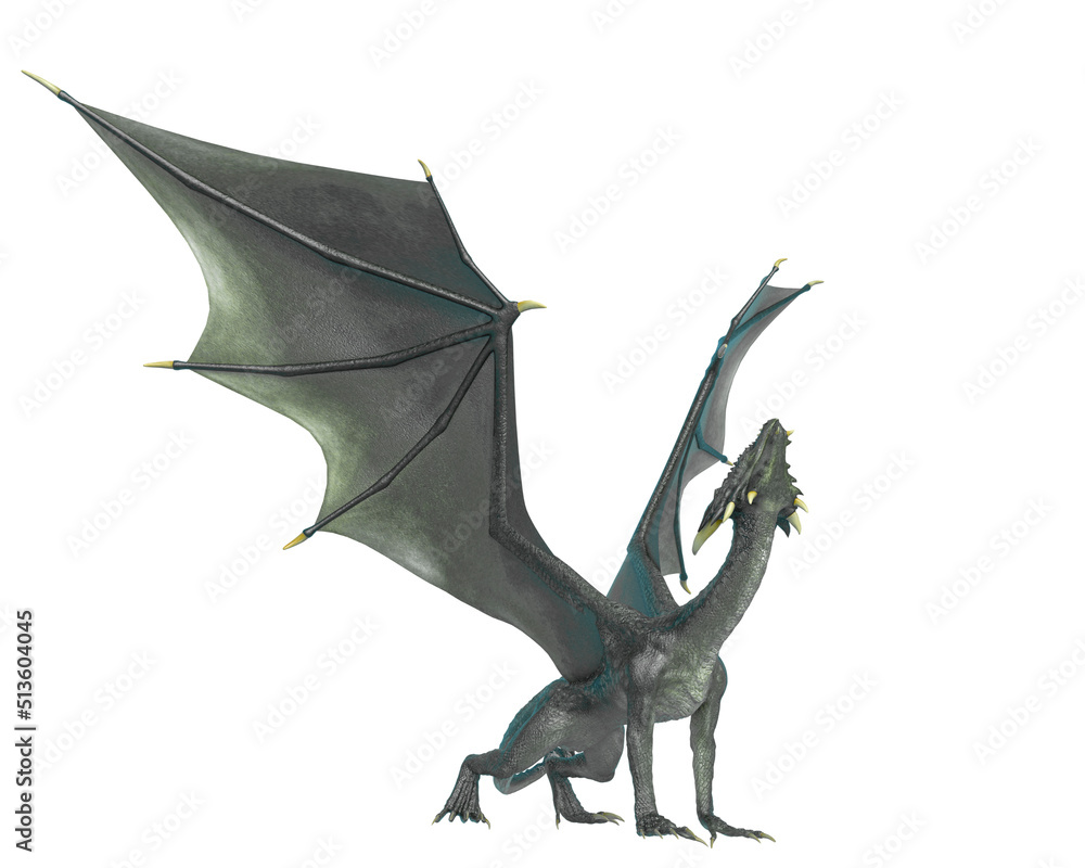 dragon side view dragon side view