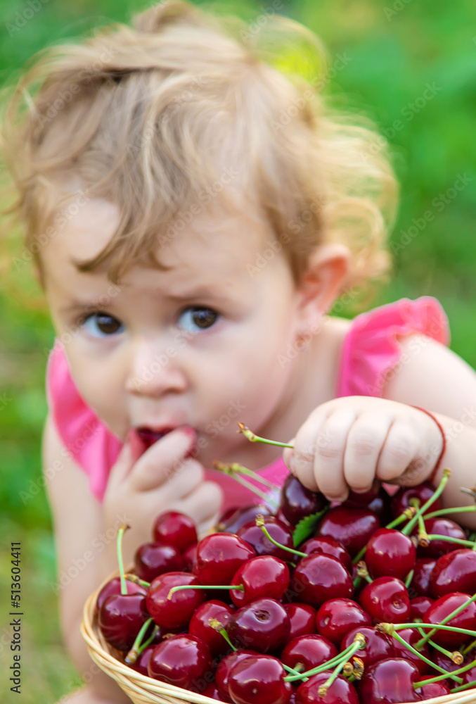 The child eats cherries in the garden. Selective focus. The child eats cherries in the garden. Selective focus.