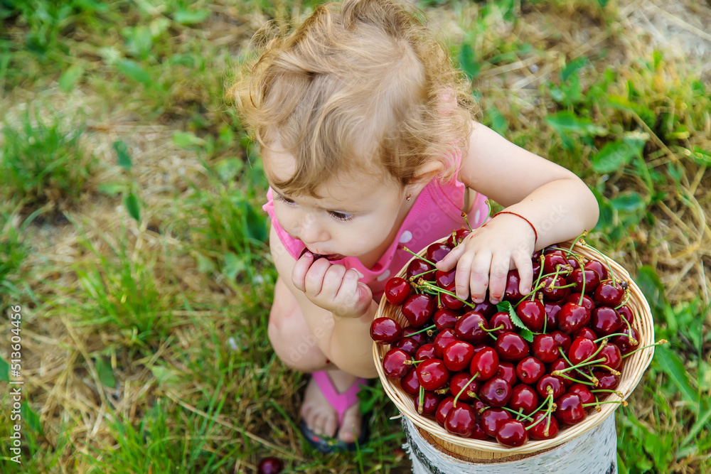 The child eats cherries in the garden. Selective focus. The child eats cherries in the garden. Selective focus.