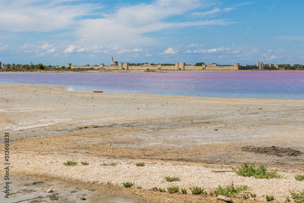 Remparts d'Aigues-Mortes devant les marais salants de couleur rose