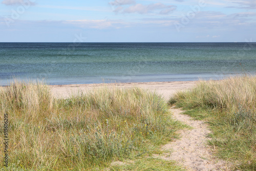 Path through the sand dunes at the coast of the Baltic Sea, Marielyst, Denmark