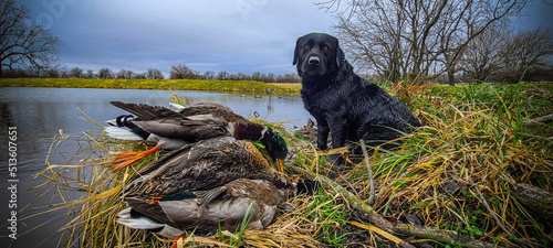 Day at the pond 