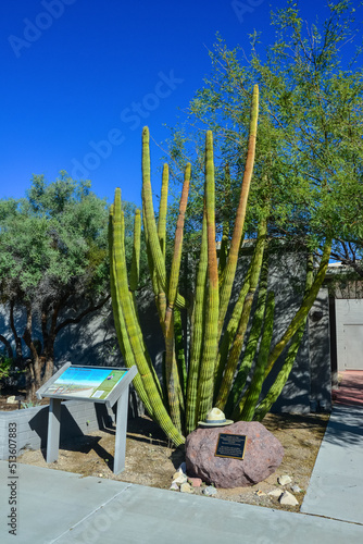 Photography ARIZONA, USA - November 24, 2019: information board near cacti at the Organ Pipe