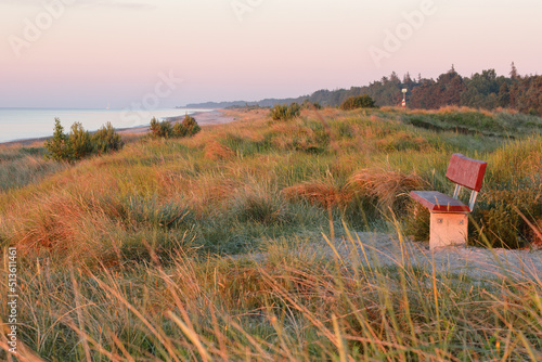 Fototapeta Naklejka Na Ścianę i Meble -  Empty wooden bench on a sand dune with dune grass on a sunny morning at Marielyst, Denmark