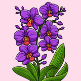 Orchid Flower Colored Cartoon Illustration