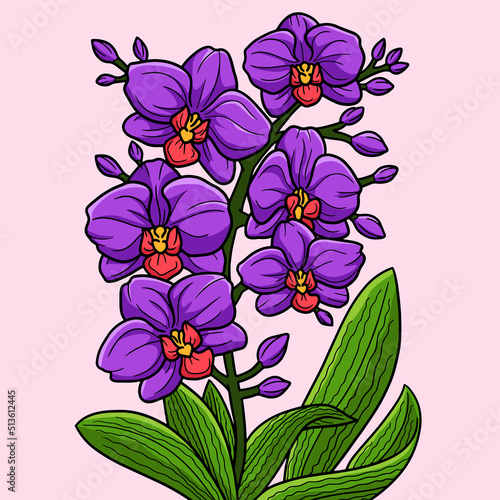 Orchid Flower Colored Cartoon Illustration