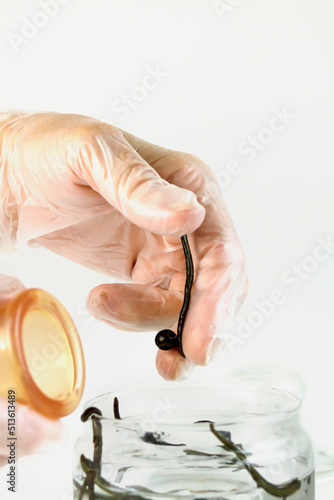 the hand in a medical glove pulls a leech out of a jar of water for placing on the patient. High quality photo