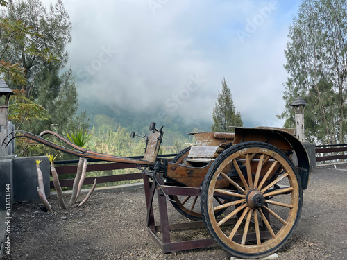 Indonesian traditional vehicle called Delman, Dokar, or Andong