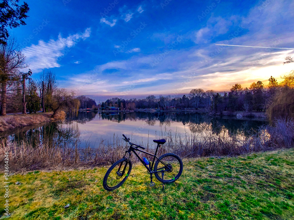 Fototapeta premium bicycle in the park