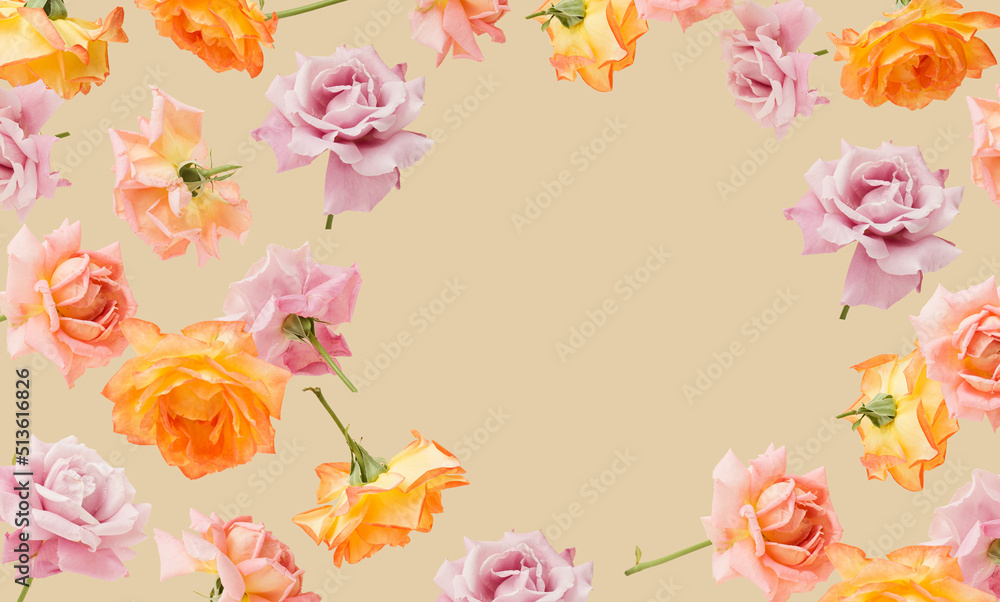 Beautiful pattern made with pastel colored garden roses in the sand color background. Minimal organic nature concept. Copy space.