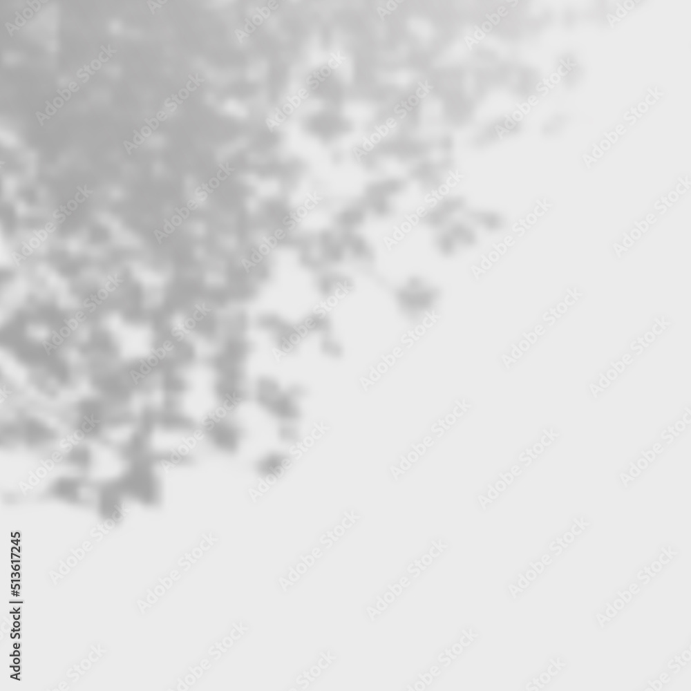 Realistic Vector transparent overlay blurred shadow of branch leaves. Design Element for Presentations and Mockups. Overlay Effect of Tree Shadow. Realistic Vector transparent overlay blurred shadow of branch leaves. Design Element for Presentations and Mockups. Overlay Effect of Tree Shadow.