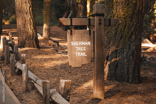 General Sherman Tree trail sign, Sequoia National Park, California, USA photo