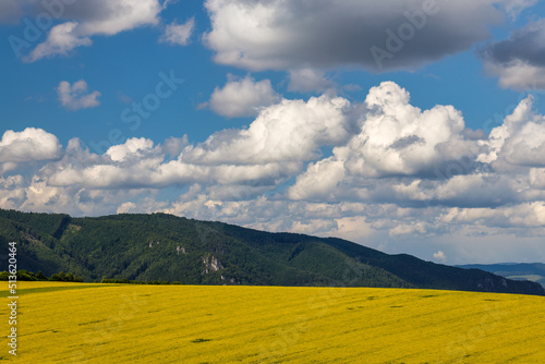 Spring landscape with fields of oilseed rape. Hills and blue sky with dramatic clouds in the background. The Rajecka valley in Slovakia, Europe. photo