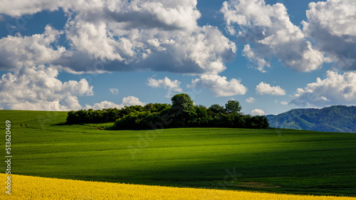 Spring landscape with fields of oilseed rape. The Rajecka valley in Slovakia, Europe. photo